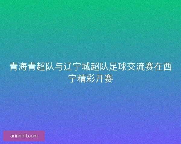 青海青超队与辽宁城超队足球交流赛在西宁精彩开赛